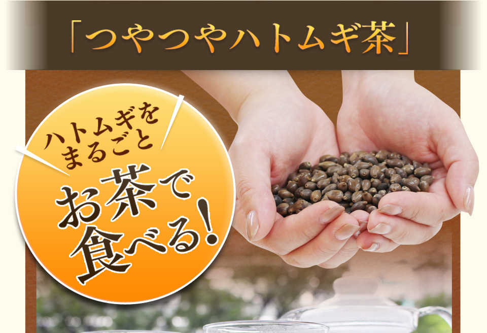 以前は…ポツポツパンパンで悩んでた私・・・そんなとき出会った「つやつやハトムギ茶麦茶」