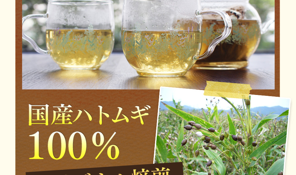 以前は…ポツポツパンパンで悩んでた私・・・そんなとき出会った「つやつやハトムギ茶麦茶」