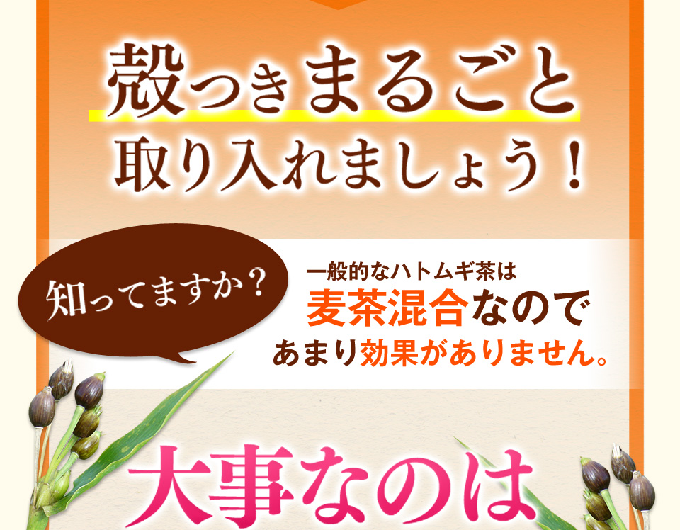 以前は…ポツポツパンパンで悩んでた私・・・そんなとき出会った「つやつやハトムギ茶麦茶」