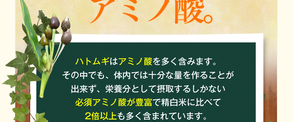 以前は…ポツポツパンパンで悩んでた私・・・そんなとき出会った「つやつやハトムギ茶麦茶」