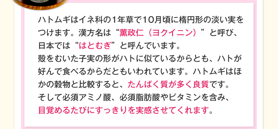以前は…ポツポツパンパンで悩んでた私・・・そんなとき出会った「つやつやハトムギ茶麦茶」